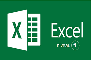 Microsoft-Excel-1b2-1B